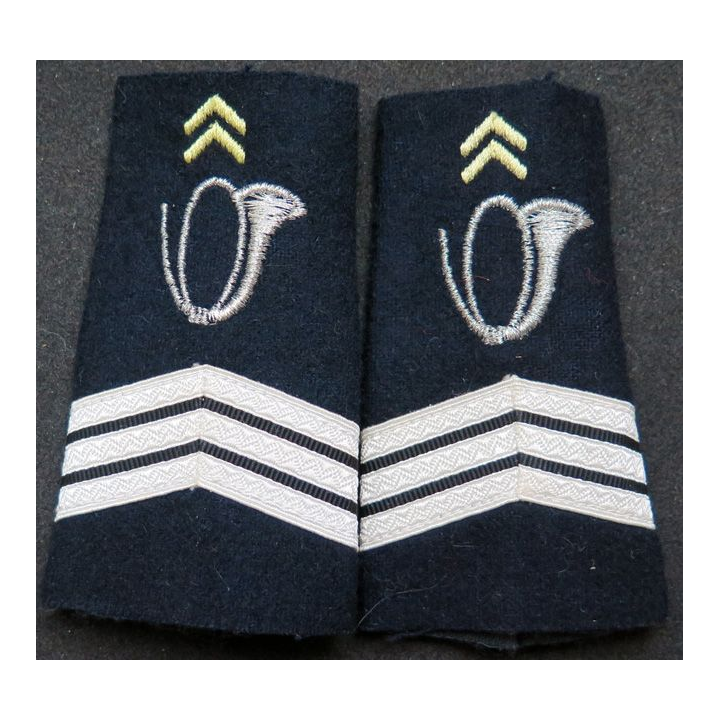 Paire de fourreau d'épaule de sergent chef des chasseurs alpins