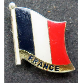 Pin's de la France hauteur 2,5 cm 