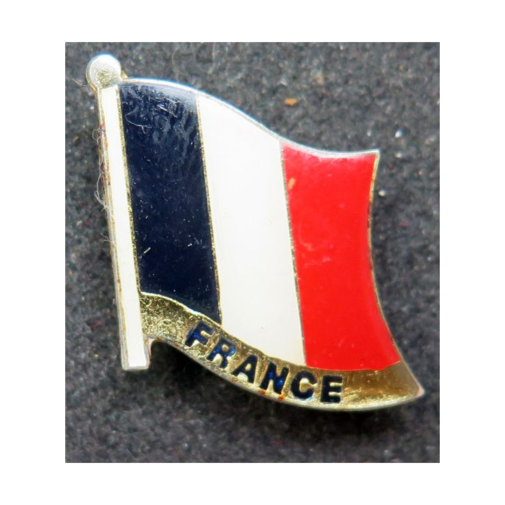 Pin's de la France hauteur 2,5 cm 