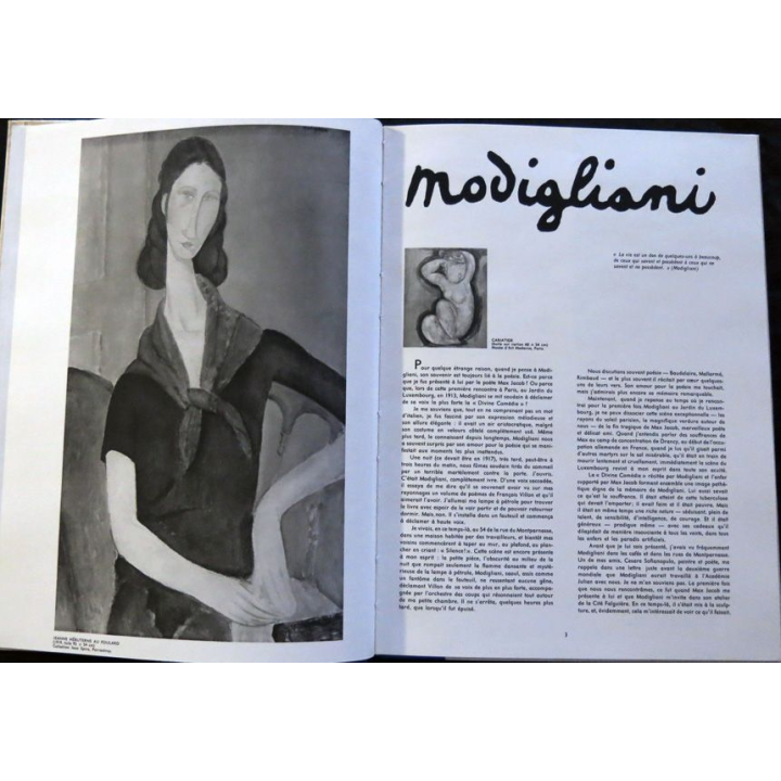 Modigliani L'Ecole française de Roger Allegret  aux éditions Abrams New York Collection musée personnel