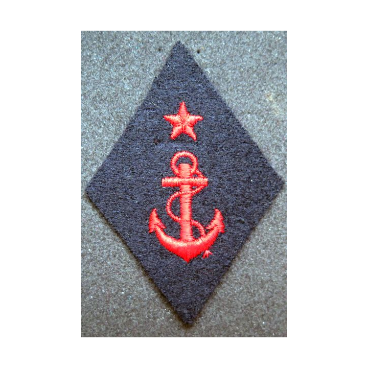 LOSANGE DE BRAS MODÈLE 45 : insigne tissu COA TOM Troupe réglementaire