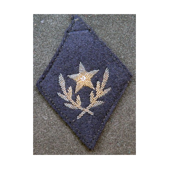 LOSANGE DE BRAS MODÈLE 45 : insigne tissu Offs S/Offs adjoints agents Corps technique en cannetille