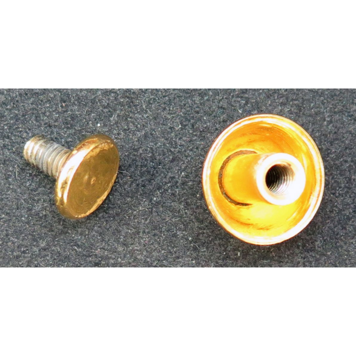 Bouton double doré pour ceinturon d'officier ou d'élève officier Grande Tenue