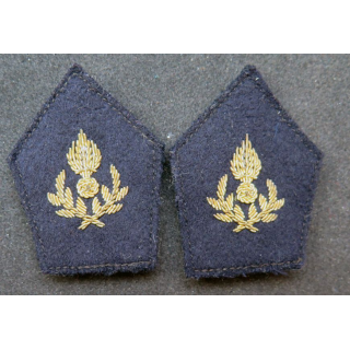 paire de soutache (insigne de col) de l'intendance en cannetille