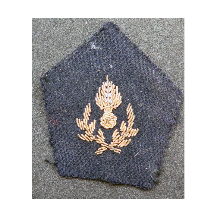 paire de soutache (insigne de col) de l'intendance en cannetille