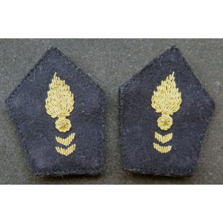 paire de soutache (insigne de col) du CTA en cannetille