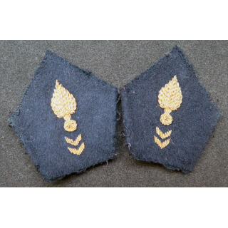 paire de soutache (insigne de col) du CTA en cannetille