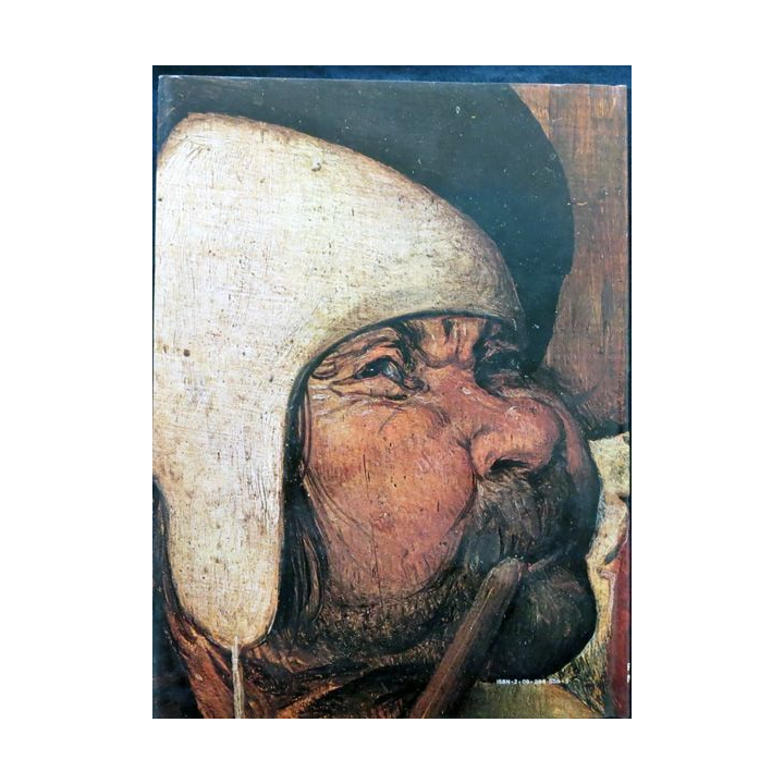 Bruegel de Alexander Wied aux éditions Fernand Nathan