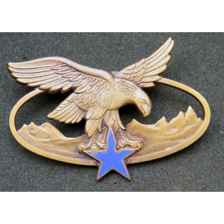BQTM : Brevet de qualification des troupes de montagne de fabrication Drago Paris G. 2465 émail