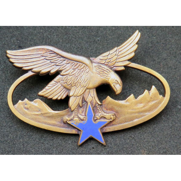 BQTM : Brevet de qualification des troupes de montagne de fabrication Drago Paris G. 2465 émail