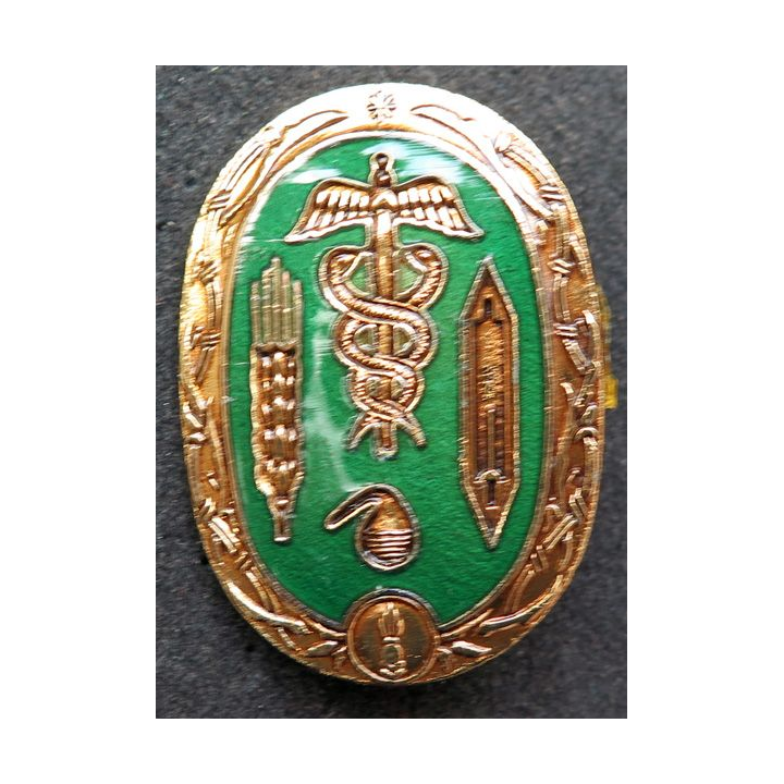 SCERI : insigne métallique du service central d'études et de réalisations de l'intendance Drago G. 3064 doré en émail