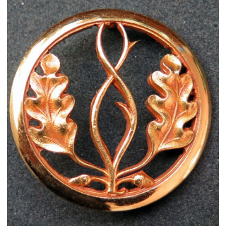 insigne de béret du Trésor aux armées de fabrication Coinderoux en métal doré 