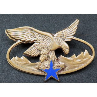 BQTM : Brevet de qualification des troupes de montagne de fabrication Drago Paris G. 2465 émail  n° 1309