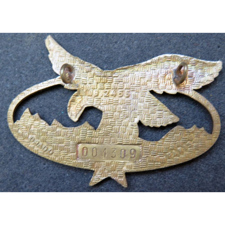 BQTM : Brevet de qualification des troupes de montagne de fabrication Drago Paris G. 2465 émail  n° 1309