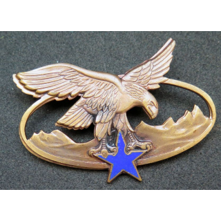 BQTM : Brevet de qualification des troupes de montagne de fabrication Drago Paris G. 2465 émail