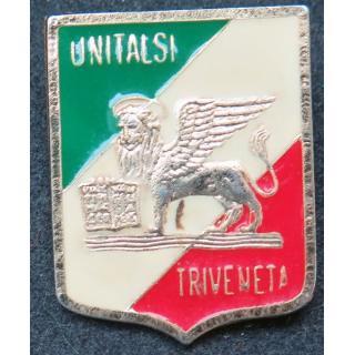 ITALIE : insigne de pélerinage à Lourdes unitalsi Treveneta
