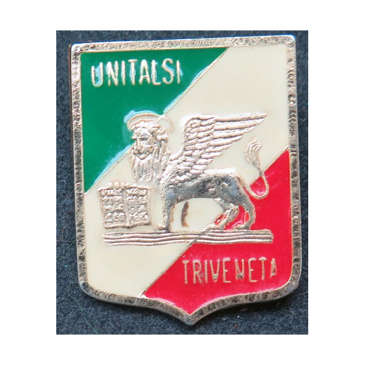 ITALIE : insigne de pélerinage à Lourdes unitalsi Treveneta