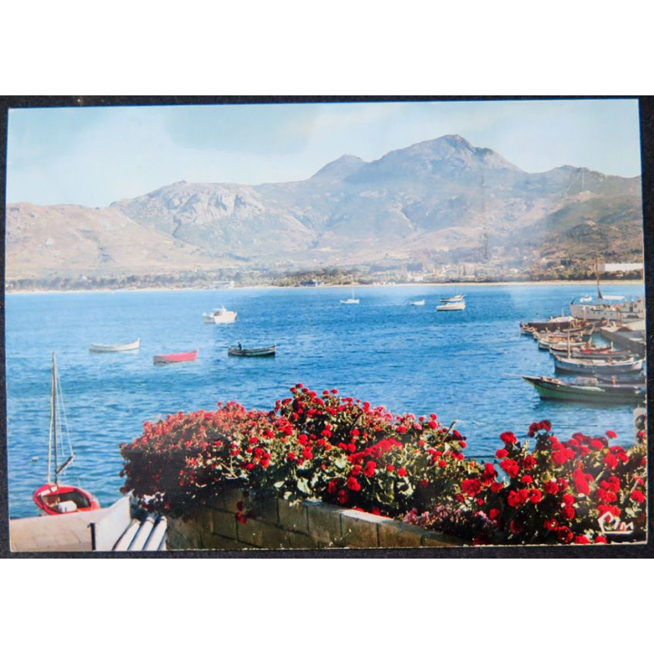 Carte postale de Calvi en Corse Vue pittoresque sur son site