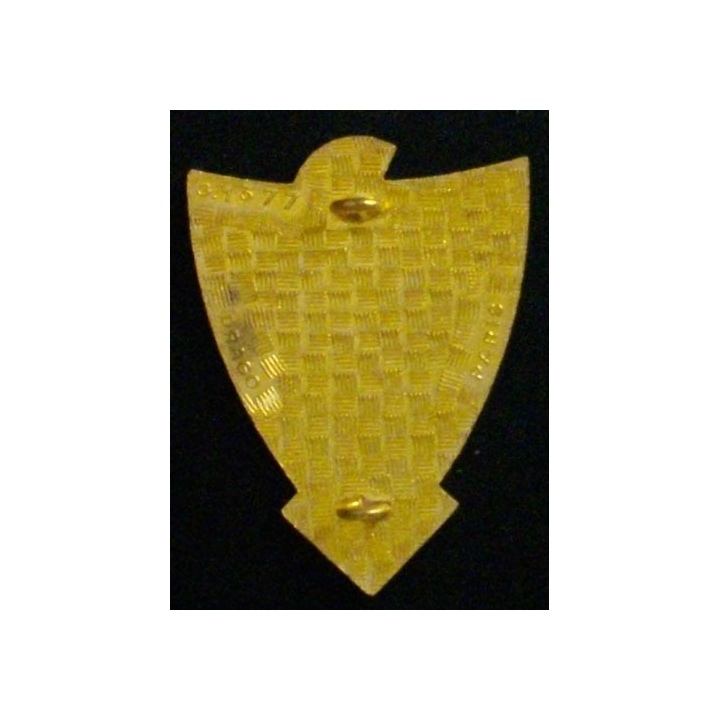 2/111°BTG : 2-111°BATAILLON DES TRAVAUX DU GÉNIE ÉMAIL
