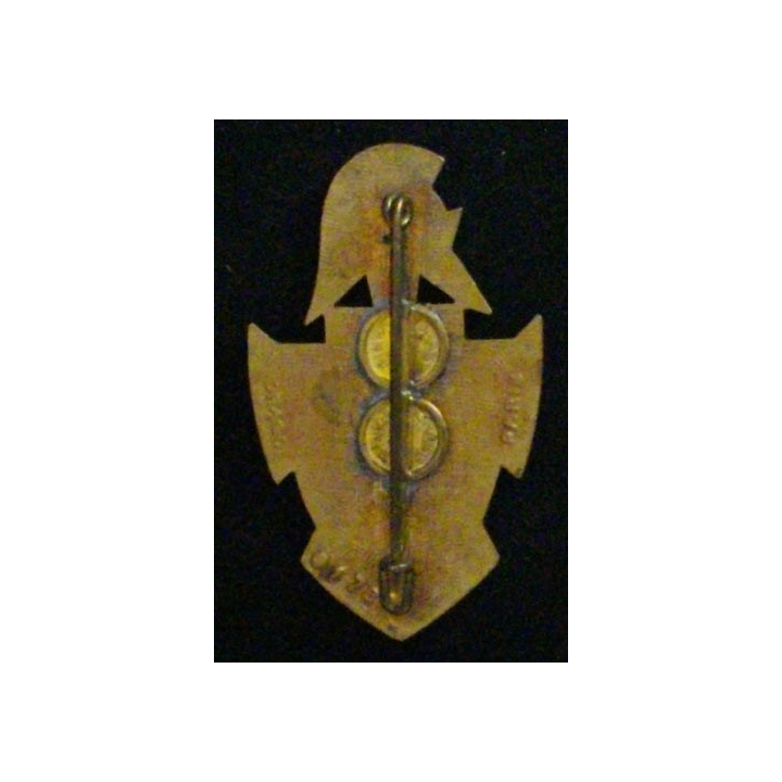 55° CGZ :insigne de la 55° compagnie du génie de zone en émail de fabrication Drago G. 1732 dos guilloché