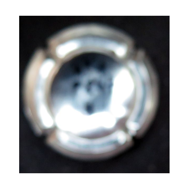 Capsule Muselet de bouteille de Champagne LITTIERE Michel n° 1
