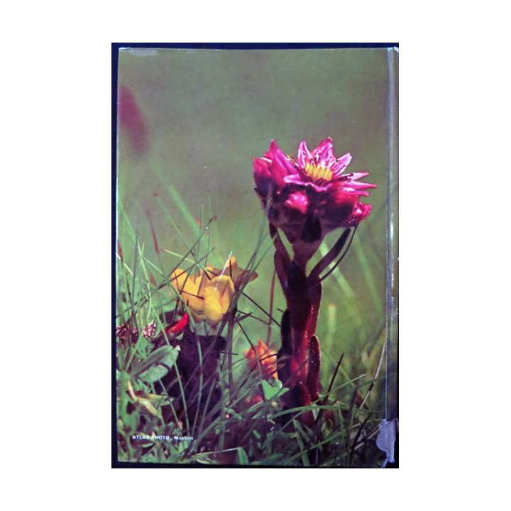 Guide des plantes et fleurs de l'Europe de Oleg Polunin & Gérard Aymonin aux éditions Fernand Nathan