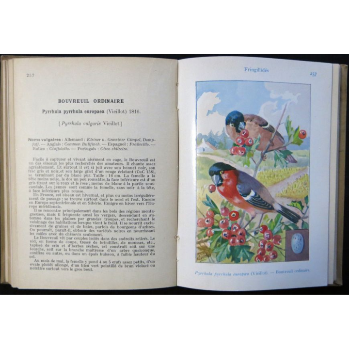 Encyclopédie pratique du naturaliste Les oiseaux de France XXXII de A. Menegaux aux éditions Paul Lechevalier
