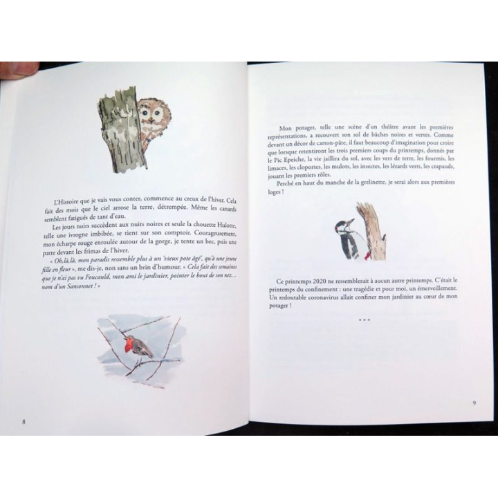 Carnet d'un Rouge-Gorge en un printemps de confinement... de Laurent Delaplace & Hervé Colonne