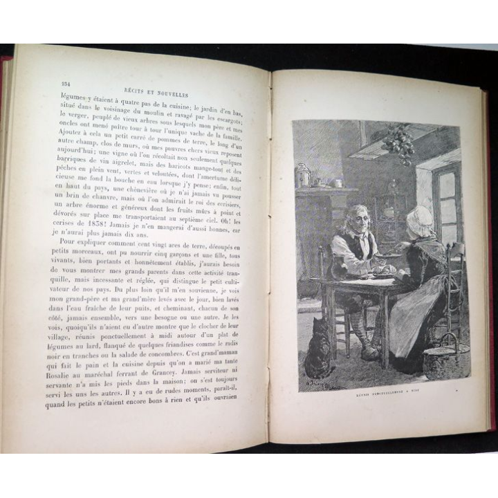 Prix municipal de la Ville de Paris Nouvelles et Souvenirs par Edmond About 1885
