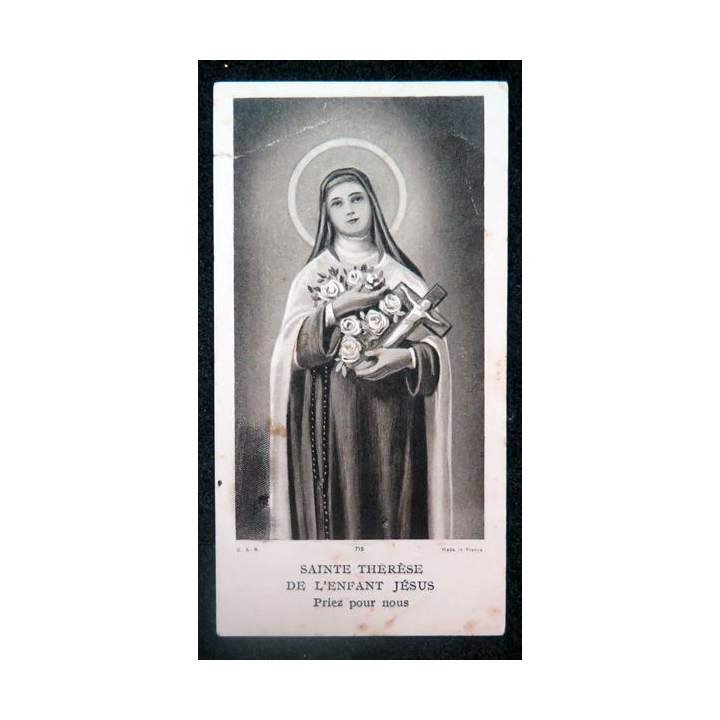 IMAGE PIEUSE : Sainte Thérèse de l'Enfant Jésus Palais du Rosaire Lisieux