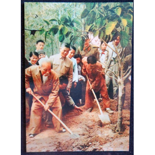 Président Ho Chi Minh participe à l'occasion du Têt pour planter des arbres 1969