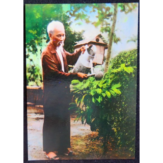 Président Ho Chi Minh soigne l'arbre de fruit laiteux 1956