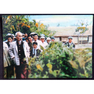 Président Ho Chi Minh participe au travail au jardin du palais présidentiel 1960