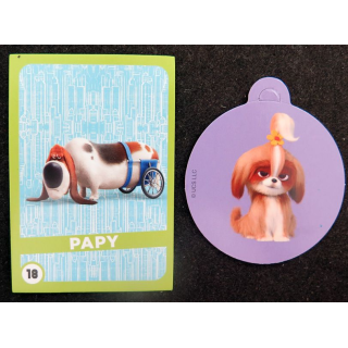 2 images de chien