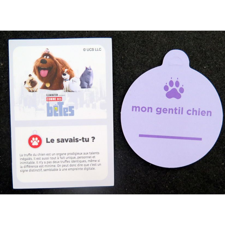 2 images de chien