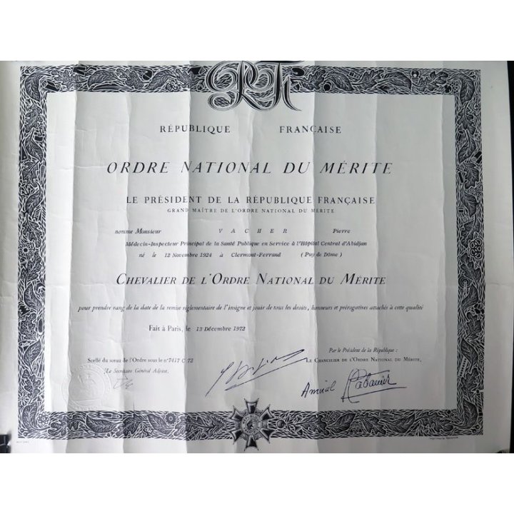 FRANCE : médaille de chevalier de l'Ordre National du Mérite en bronze argenté