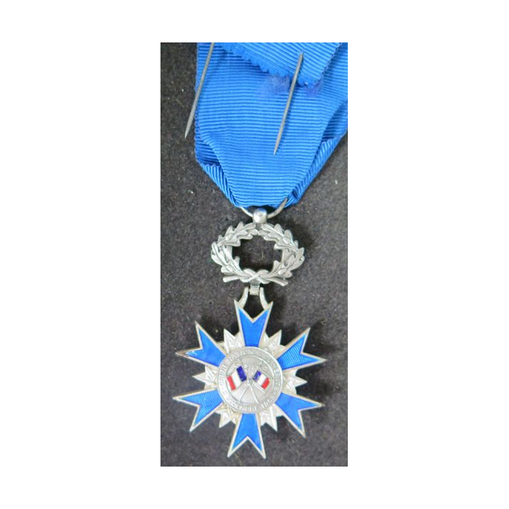 FRANCE : médaille de chevalier de l'Ordre National du Mérite en bronze argenté