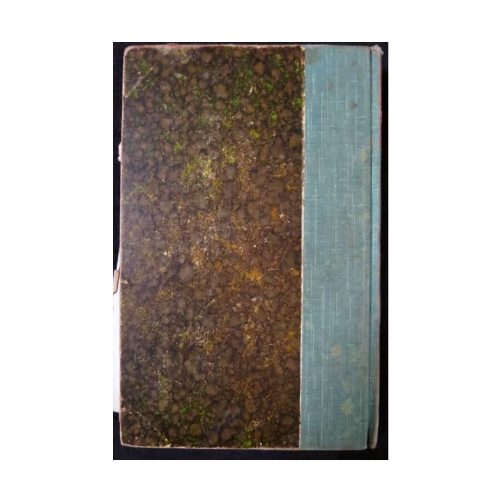 Le désespéré de Léon Blois aux Editions Tresse & stock Editeurs 1887