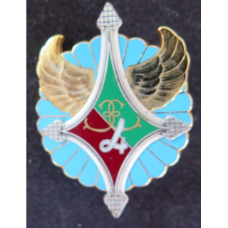 13° RDP : 24° escadron du 13° régiment de dragons parachutistes 