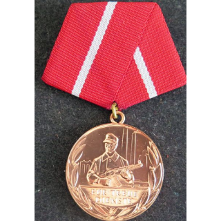 RDA : médaille de bronze pour les loyaux services dans les groupes de combat