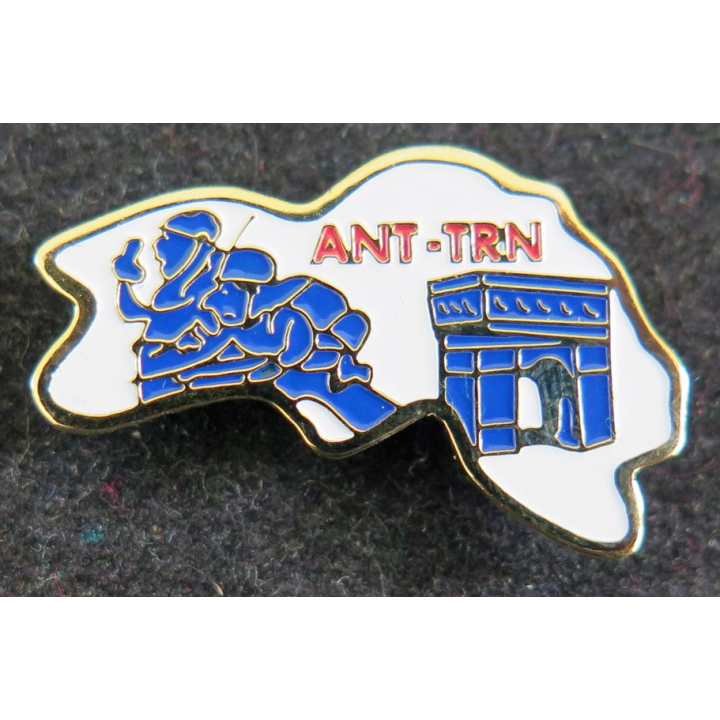 Pin's de l'ANT TRN titre de reconnaissance de la nation