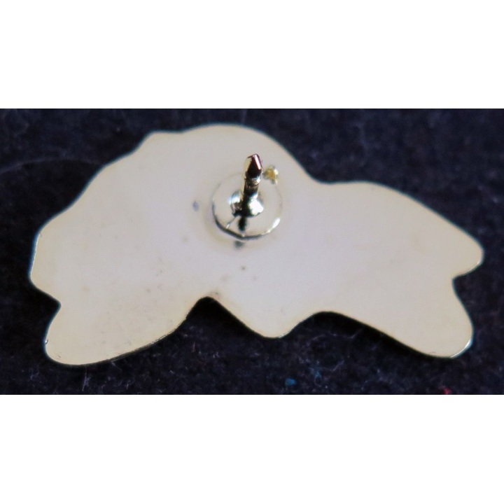 Pin's de l'ANT TRN titre de reconnaissance de la nation