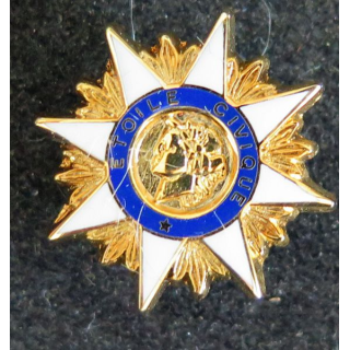 Pin's de l'Etoile civique