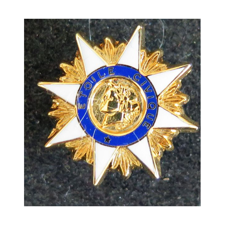 Pin's de l'Etoile civique