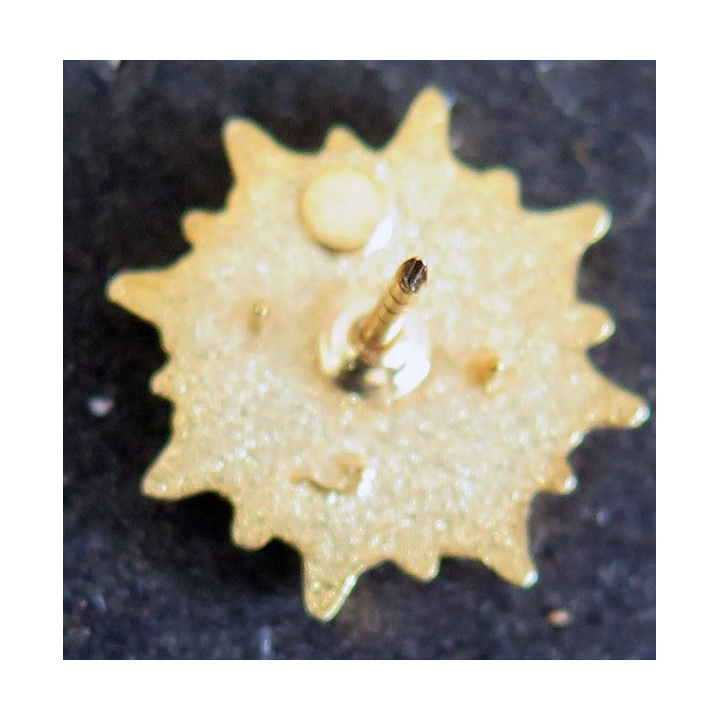Pin's de l'Etoile civique