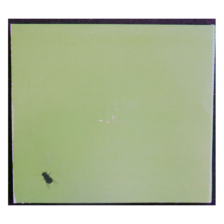 CD ROM : Wild  fotogram - stone images