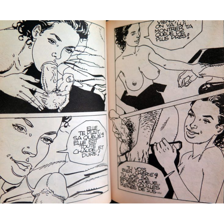 Confessions érotiques BD Dorothée j'étais le jouet d'un couple d'amis