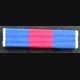 FRANCE : Rappel de décoration de la médaille des services militaires volontaires en argent
