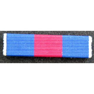 FRANCE : Rappel de décoration de la médaille des services militaires volontaires en argent
