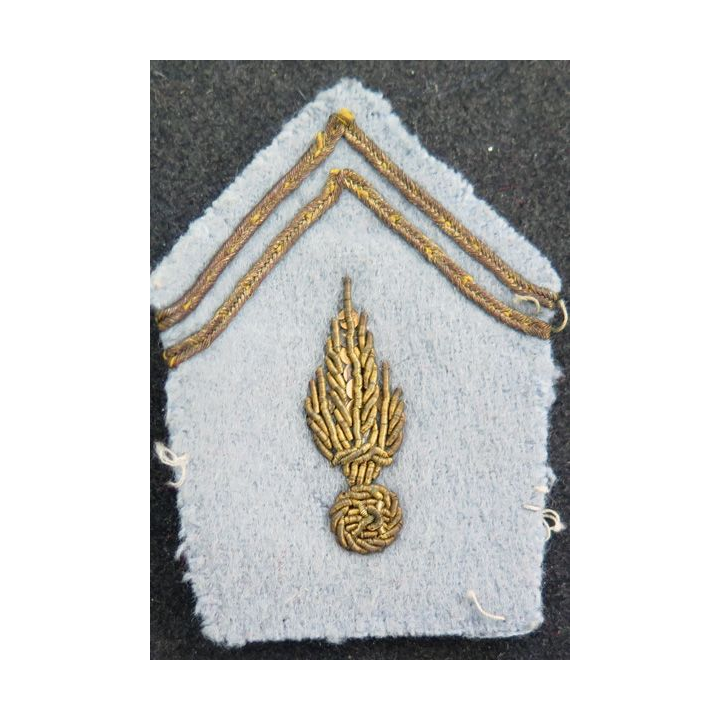 SOUTACHE : insigne de col d'instructeur en école en cannetille